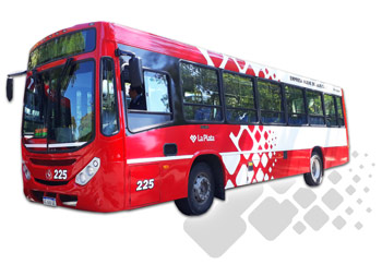 línea 225 a brandsen